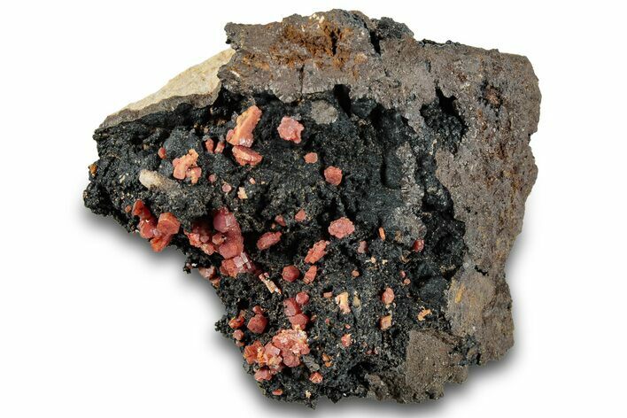 Small Red Vanadinite Crystals on Manganese Oxide - Morocco #292891